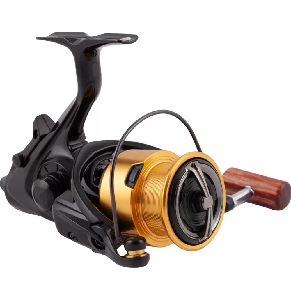 Daiwa 20 GS BR LT Reel