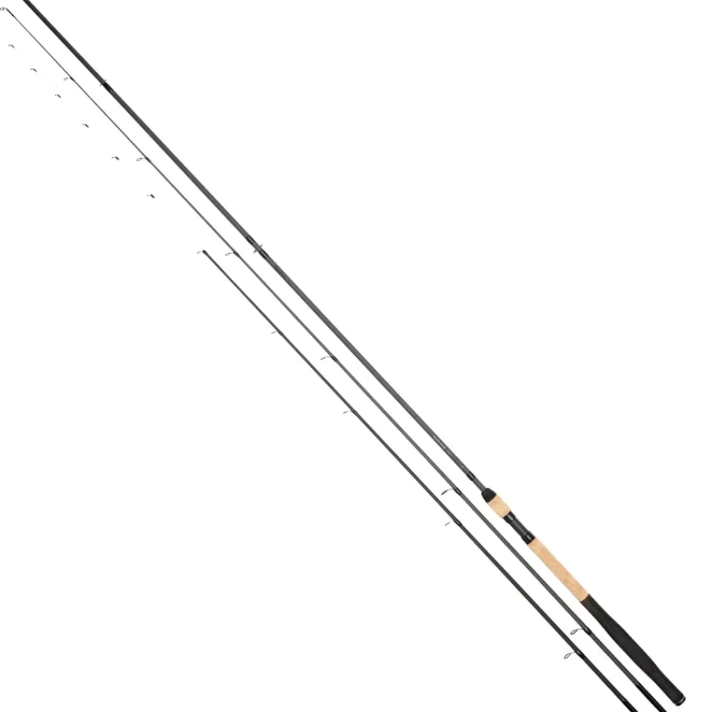 Daiwa Black Widow Twin Tip Fishing Rod