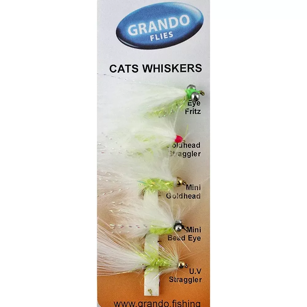 Dragon Fly Dragon Cats Whiskers