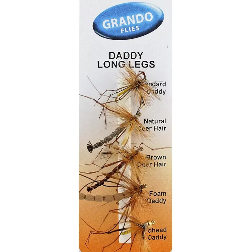 Dragon Fly Dragon Daddy Long Legs