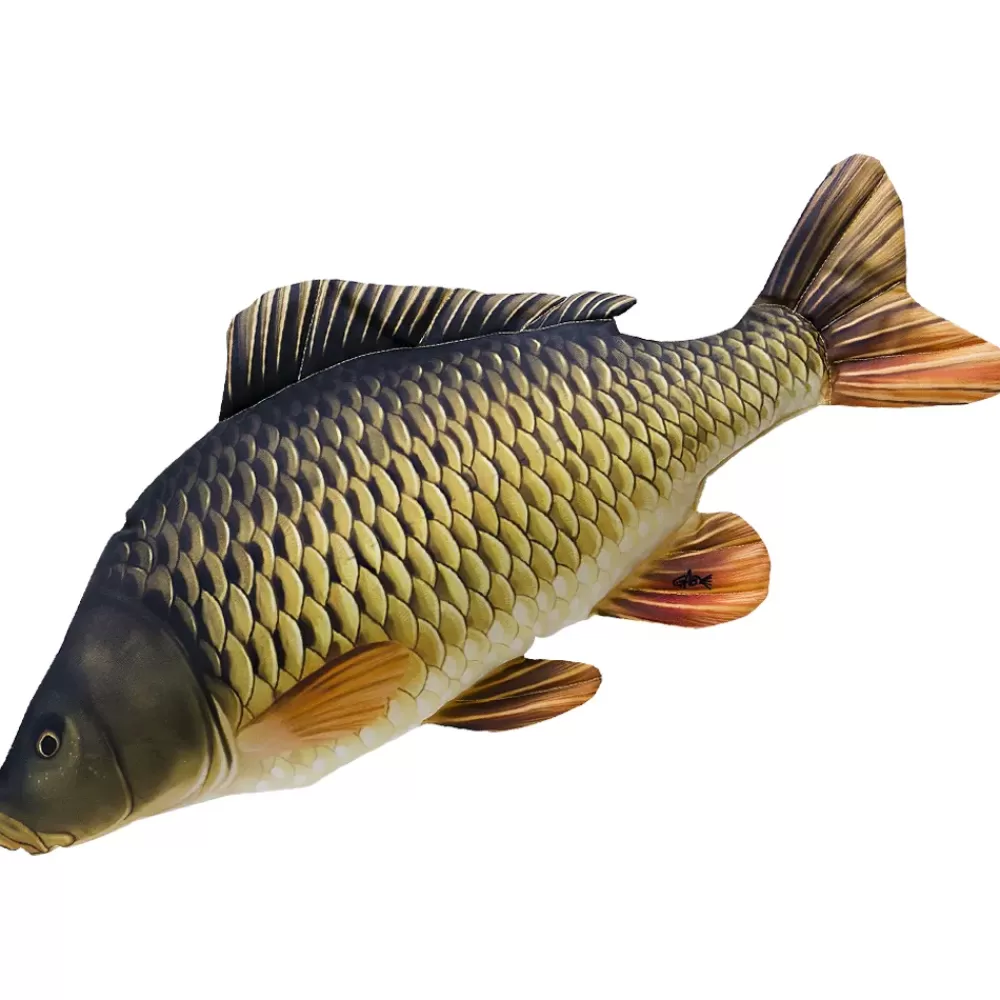 Gaby Fish Pillows The Common Carp