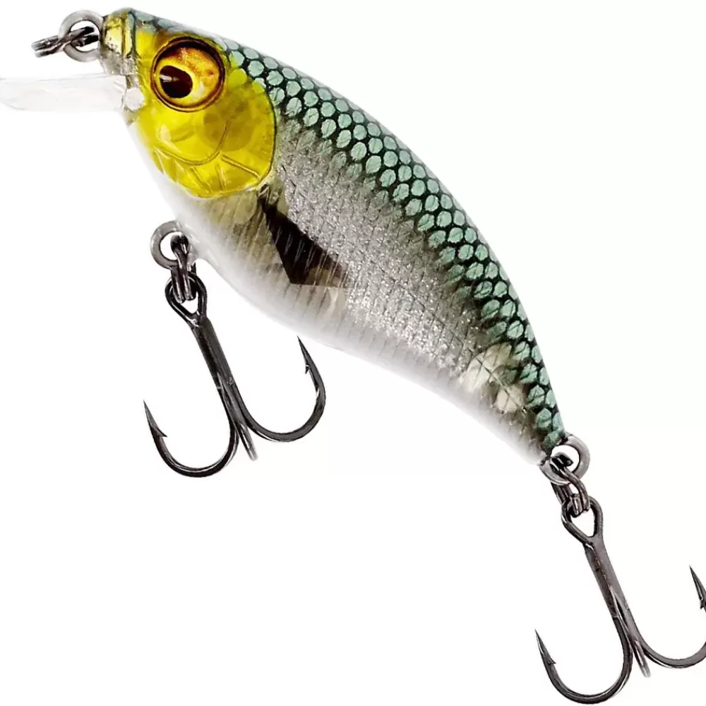 Westin BuzzBite SR Crankbait Low Floating Lure 5cm 6g